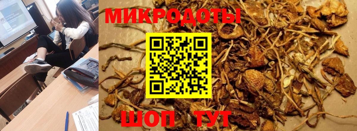 где купить наркоту  Псилоцибиновые грибы ЛСД  Галлюциногенные грибы ЛСД  Вход с VPN  Татарск 